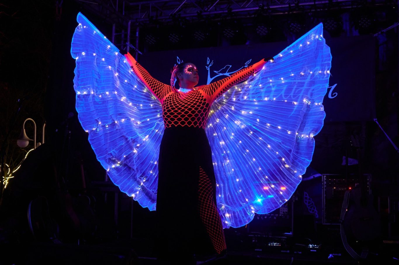 "Tales of Light" beim Lichterhaus Fredenbaum 2024